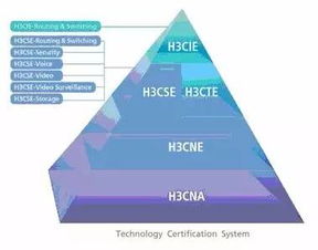 计算机网络技术 多元化就业方向与发展前景解析