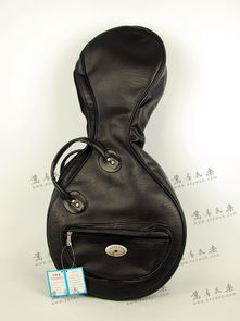 高级中阮琴包与精品中国二胡系列 民乐乐器箱包的专业选择